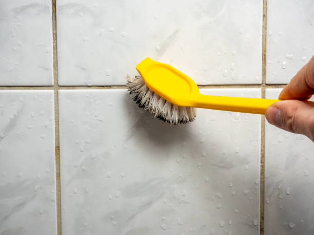 Best Office Mold Removal Services  in Old Town, ME
