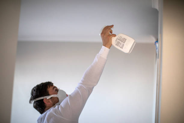 Best Crawl Space Mold Removal  in Old Town, ME
